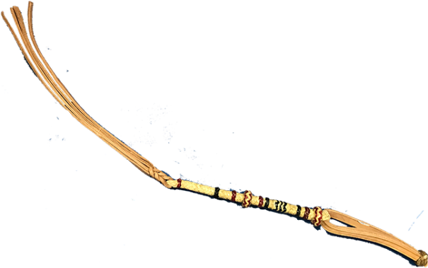 Horse (700x525), Png Download