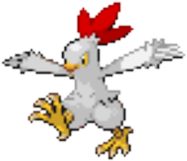 Chicken Combusken - Pokemon (420x420), Png Download