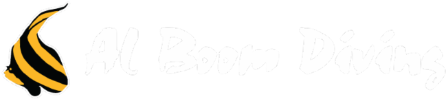 Michael Phelps By Aqua Sphere - Al Boom Diving (800x223), Png Download