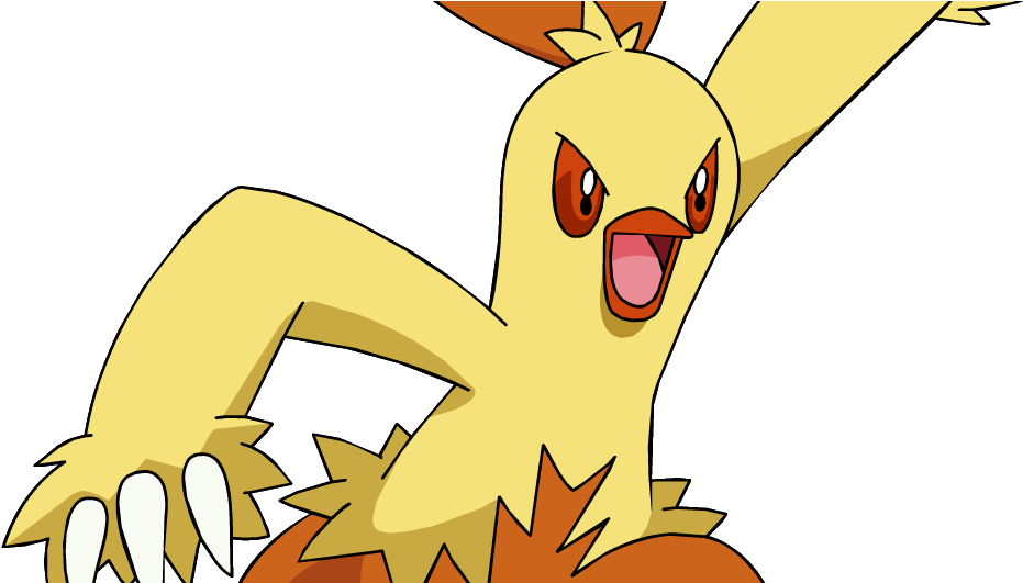 Torchic (1009x530), Png Download
