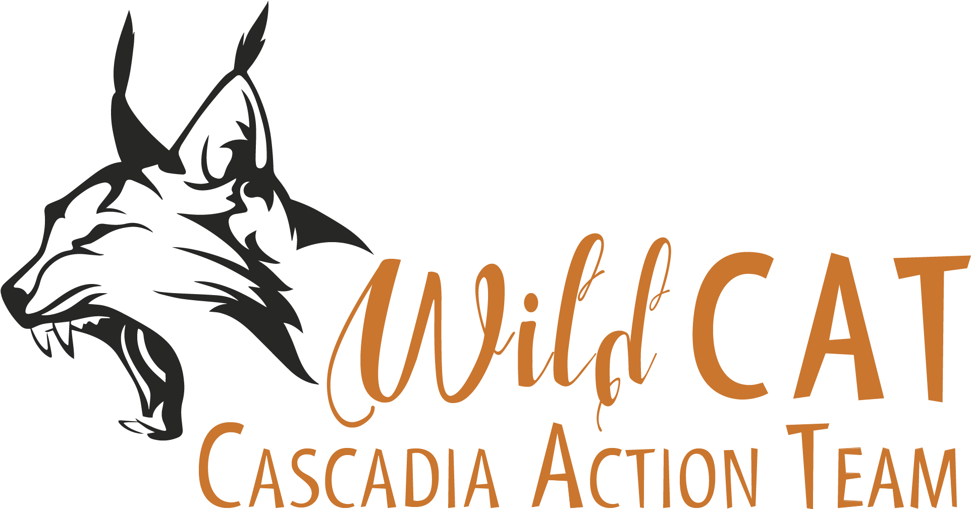 Join Us For Our Monthly Wildcat Volunteer Meeting, - Bonares (2100x1180), Png Download