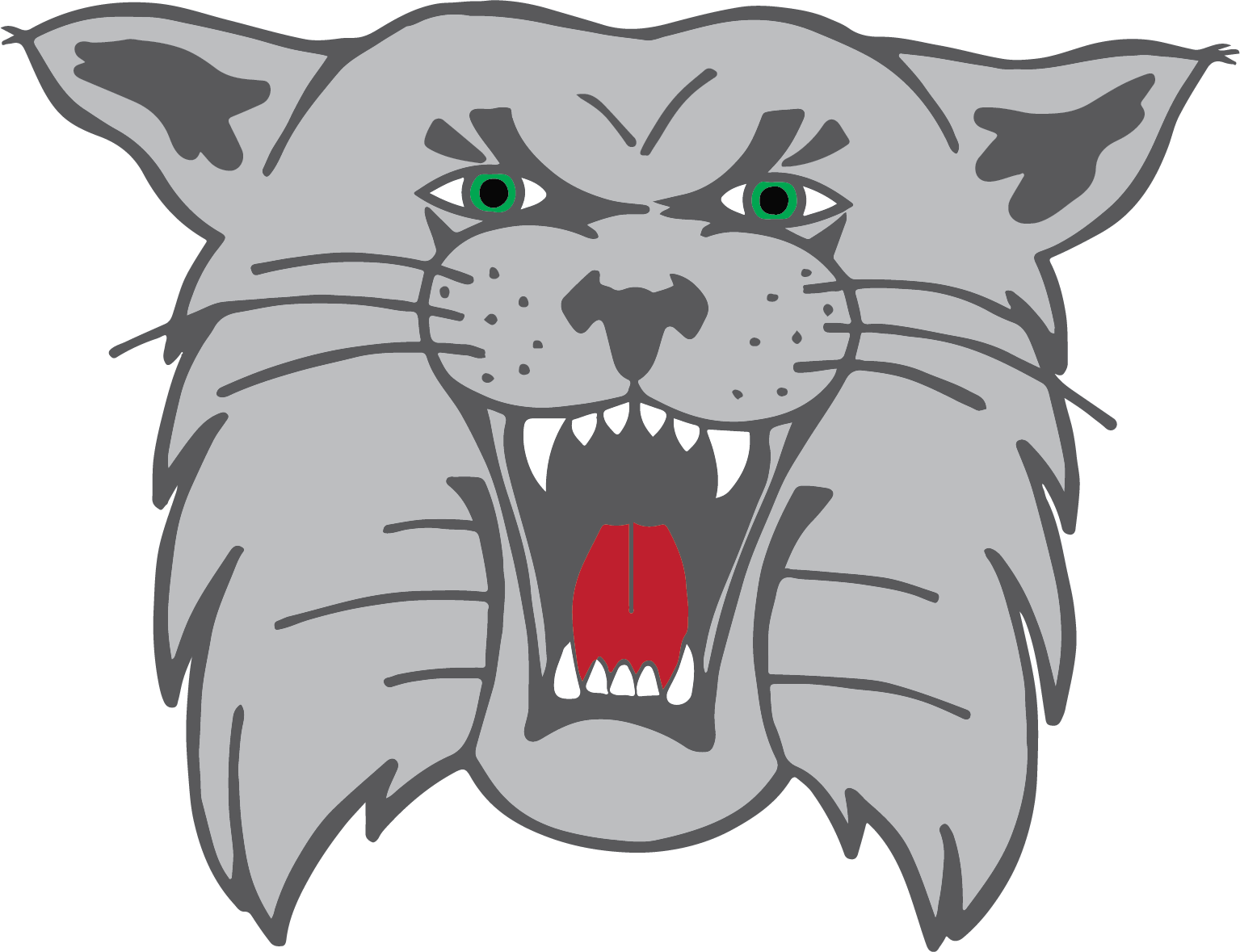 Wildcat Gray Primary - Canton South Wildcats Png (1535x1179), Png Download