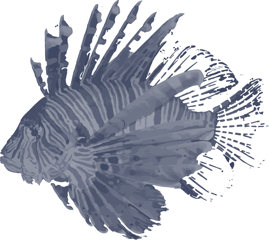 Lionfish Data - Illustration (928x827), Png Download