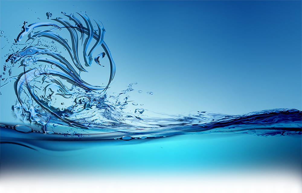 Lionfish - Sea (1000x640), Png Download