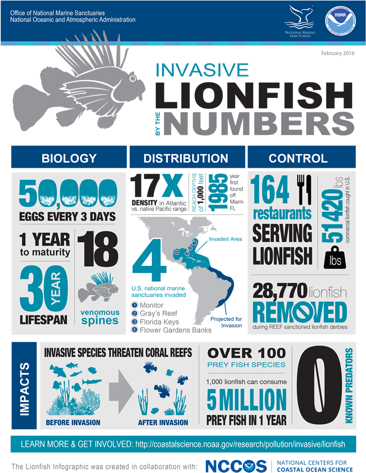 Additional Resources - Lionfish Invasive (750x952), Png Download
