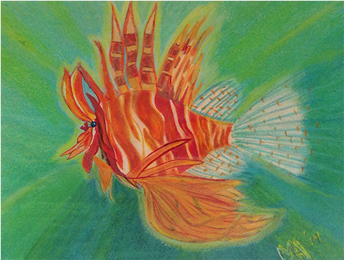 Chalk Pastel - Lionfish (500x457), Png Download