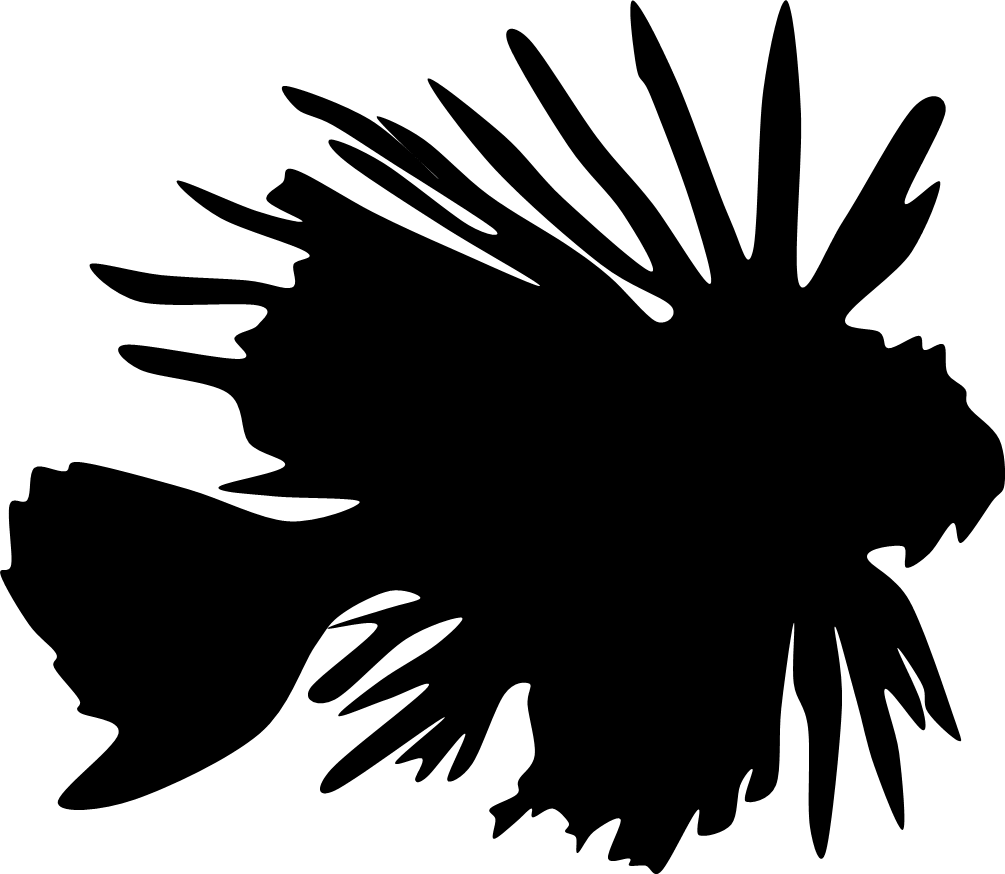 Interesting Facts - Illustration (1005x874), Png Download