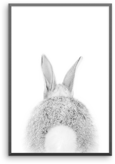 Bunny Tail - Domestic Rabbit (600x600), Png Download