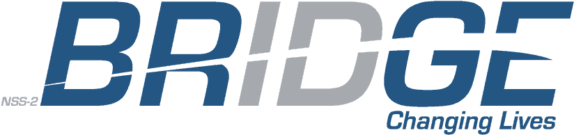 Nss 2 Bridge Logo Tag - William Nelson, Nmd - National Addiction Services (829x208), Png Download