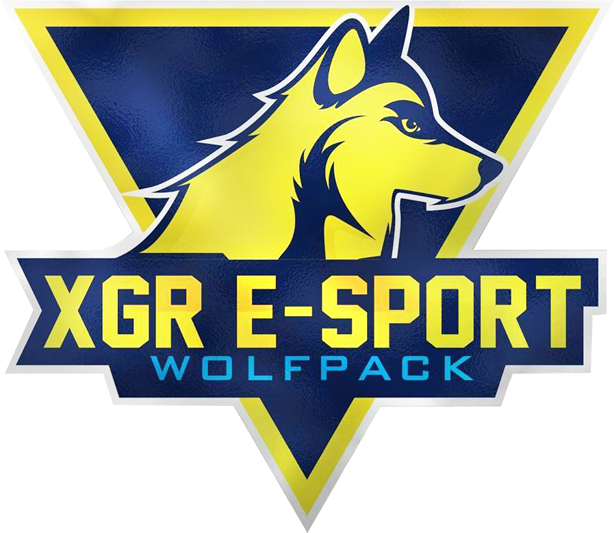 Xgr Esports - Counter-strike: Global Offensive (960x960), Png Download