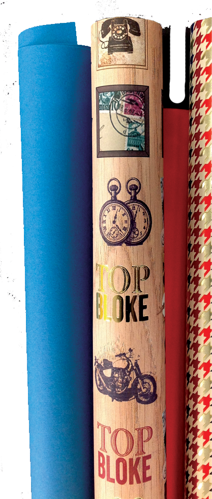 Polaroid Lady Bird Watering Plant Rolls Of Wrapping - Gift Wrapping (417x980), Png Download