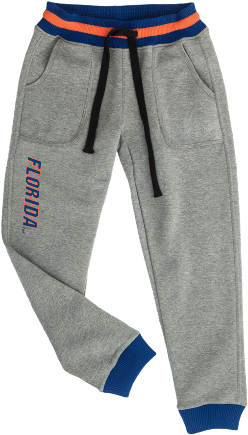 University Of Florida Joggers - Florida Gators Football (1024x1024), Png Download