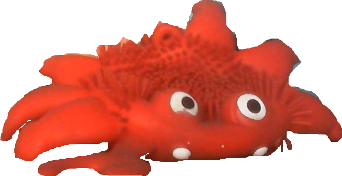 The Crab - Goldfish (692x356), Png Download