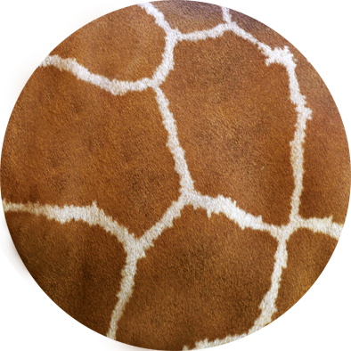5a64d8133d265 Giraffeshieldtexture6 - Giraffe (394x394), Png Download