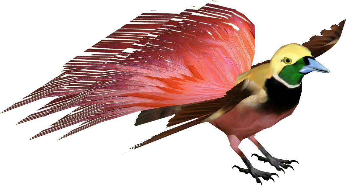 Raggiana Bird Of Paradise M - Zoo Tycoon 2 Fish Koi (1136x1136), Png Download