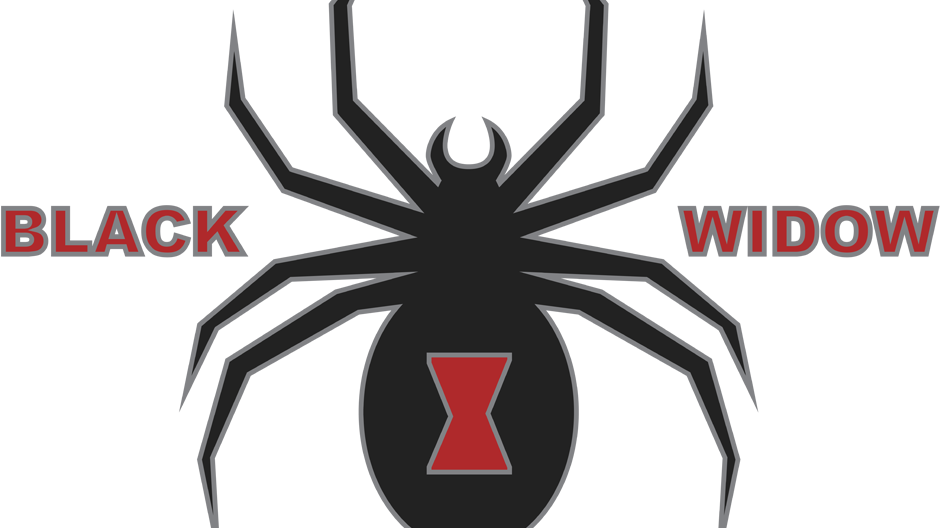 Sca Performance Chevrolet Black Widow - Chevy Black Widow Logo (940x528), Png Download