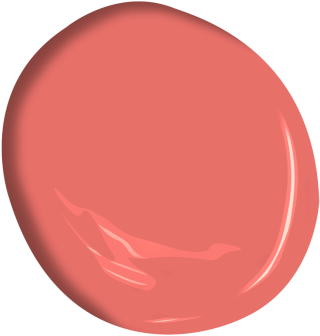 Bird Of Paradise - Benjamin Moore Pink Peach (360x360), Png Download
