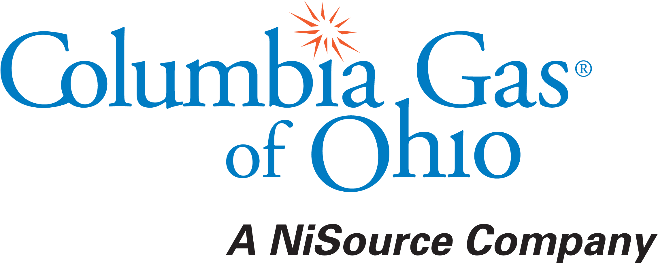 Gold Level - Columbia Gas Of Ohio (2500x1389), Png Download