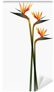 Birds Of Paradise Plant Png Download - Bird Of Paradise Flower (400x400), Png Download