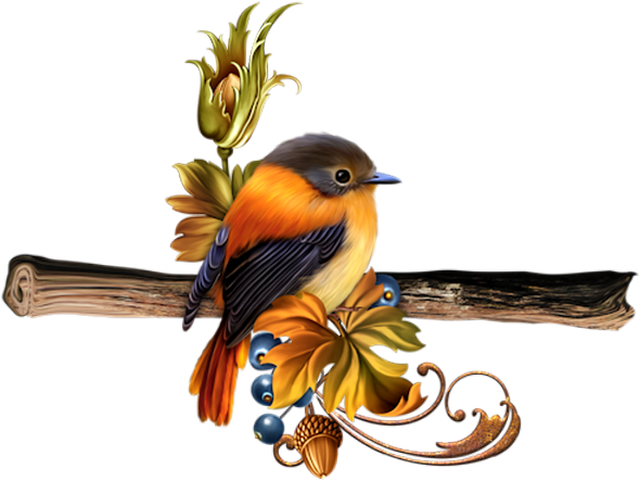 Birds, Birds, Drawing, Png, Color - Glorious Birds On Aqua-a2 (600x460), Png Download