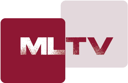 Everything Else That You Don't See On This List Is - Ve Mfo (573x378), Png Download