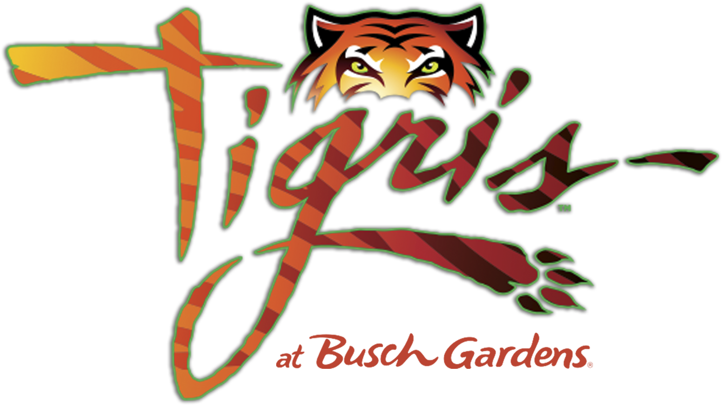 Tigris Logo - Busch Gardens New Ride 2019 (1521x881), Png Download