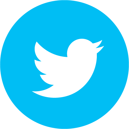 Caldo De Res - Transparent Background Twitter Logo (413x413), Png Download