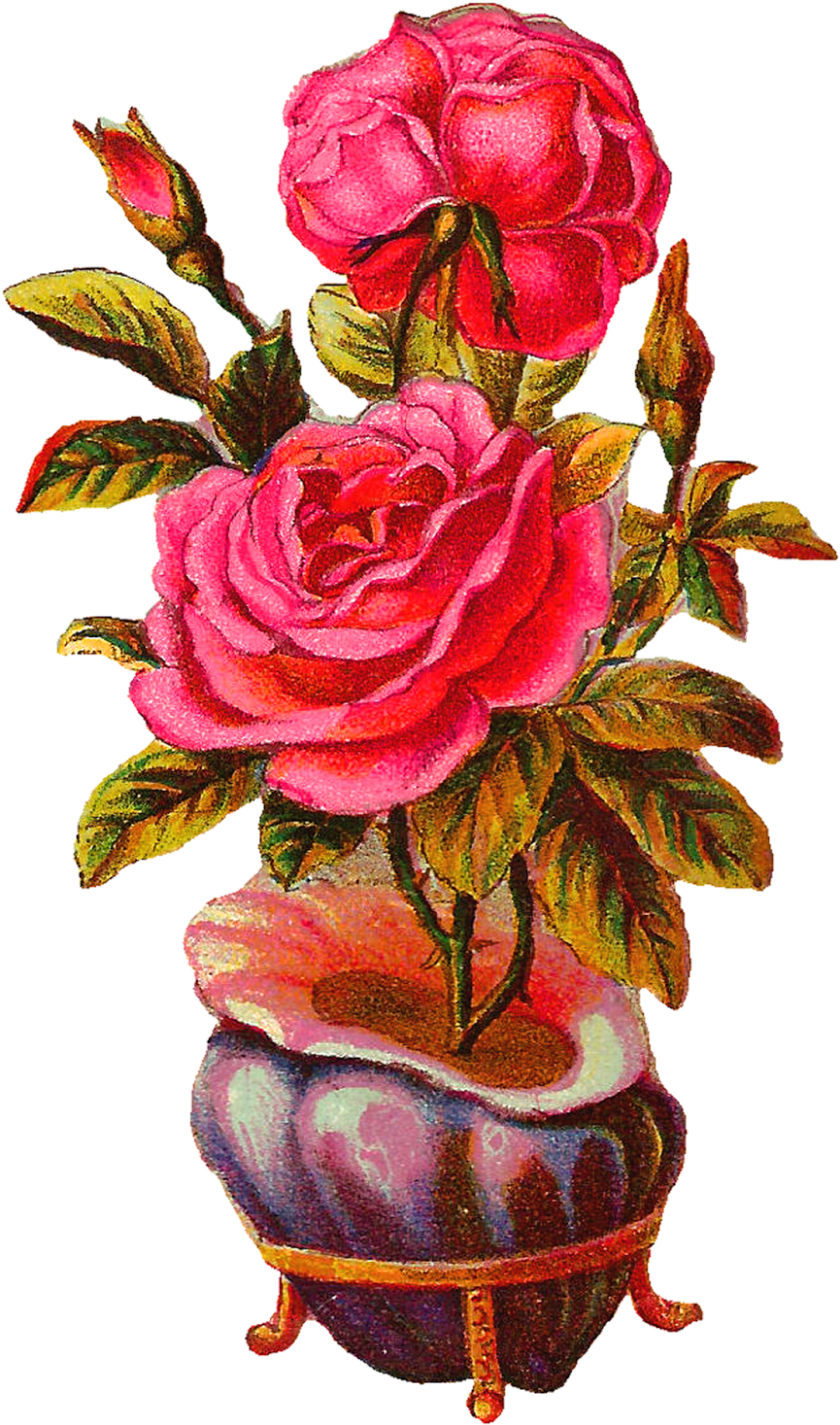 Victorian Clipart Vase - Transparent Vintage Botanical Png (993x1600), Png Download