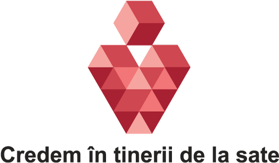 Logo Of The Campaign "o Piata Incluziva A Muncii In - Graphic Design (640x452), Png Download