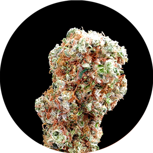 Bruce Banner - Side Dish (500x500), Png Download