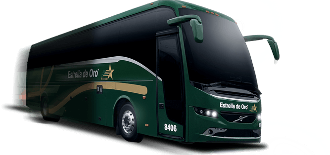Destinos Amplia Cobertura Compra Tus Boletos - Autobuses De Estrella De Oro (667x314), Png Download