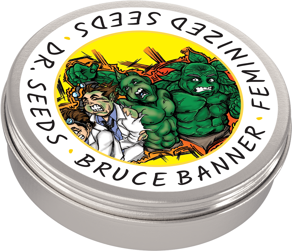 Bruce Banner - Haze (1000x1000), Png Download