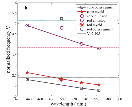 Ergodic Mutual Information Per User For Aeø Aeö ¾ And - Diagram (587x440), Png Download