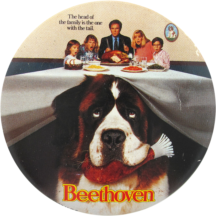 Beethoven Movie - Beethoven 1992 (1000x1023), Png Download