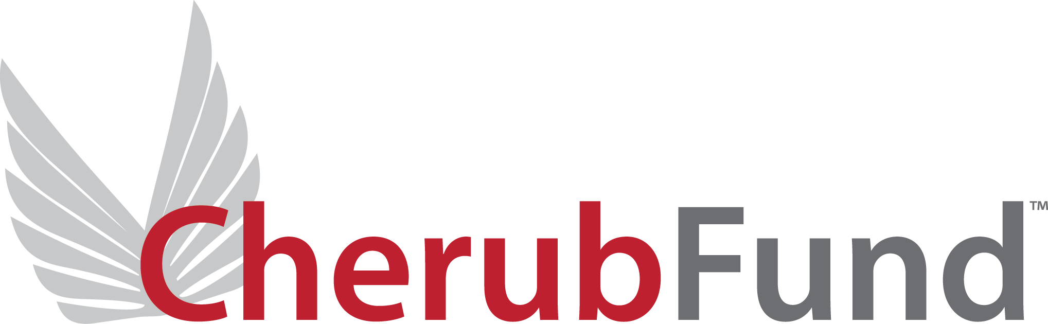 About - Cherub Fund (2037x630), Png Download