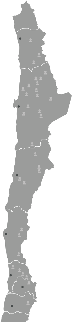 Pasa El Cursor Por Las Regiones Para Revisar Las Operaciones - Mapa Da Vegetação Do Chile (450x1099), Png Download