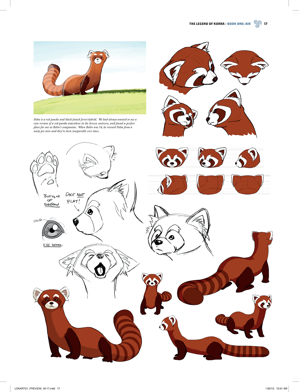 Original - Black Footed Red Panda Ferret (1000x1310), Png Download