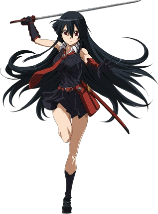 Akame - Anime Akame Ga Kill Akame (317x430), Png Download