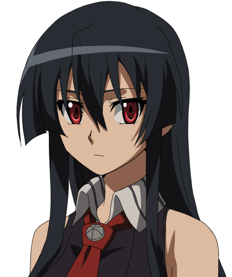 Akame - Akame Ga Kill Akame Face (879x910), Png Download