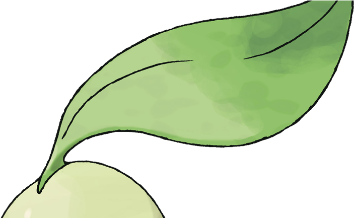 Pokemon Chikorita (823x432), Png Download