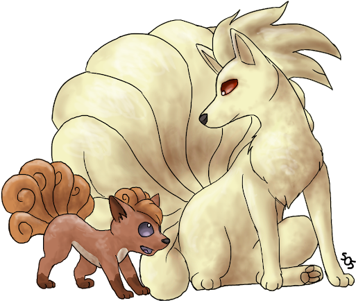 Photo - Mammal (530x452), Png Download