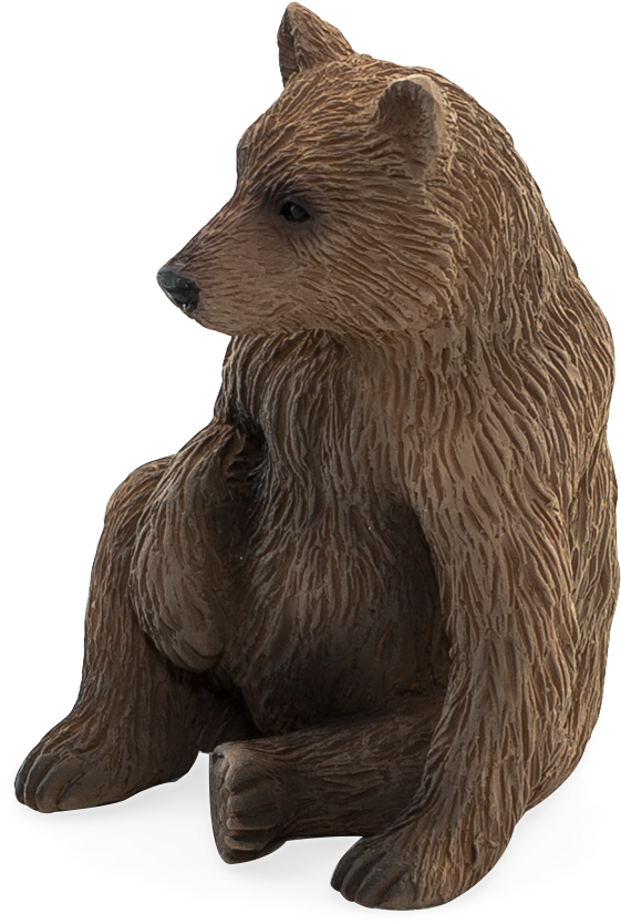 Animal Planet: Grizzly Bear Cub (648x958), Png Download
