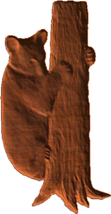 Cat (430x430), Png Download