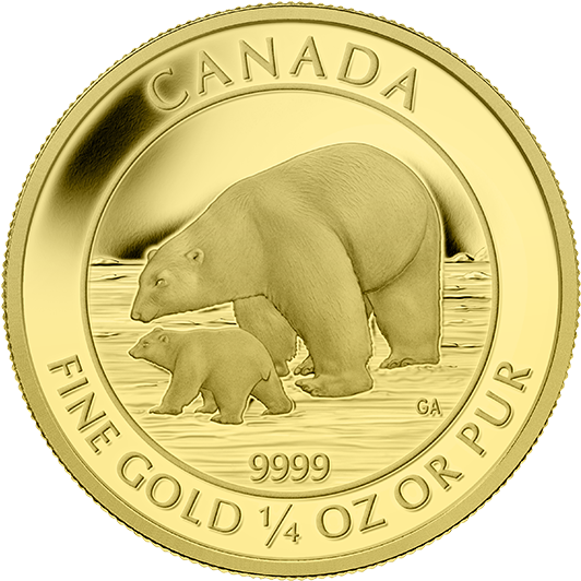 Polar Bear And Cub Gold Coin (570x570), Png Download