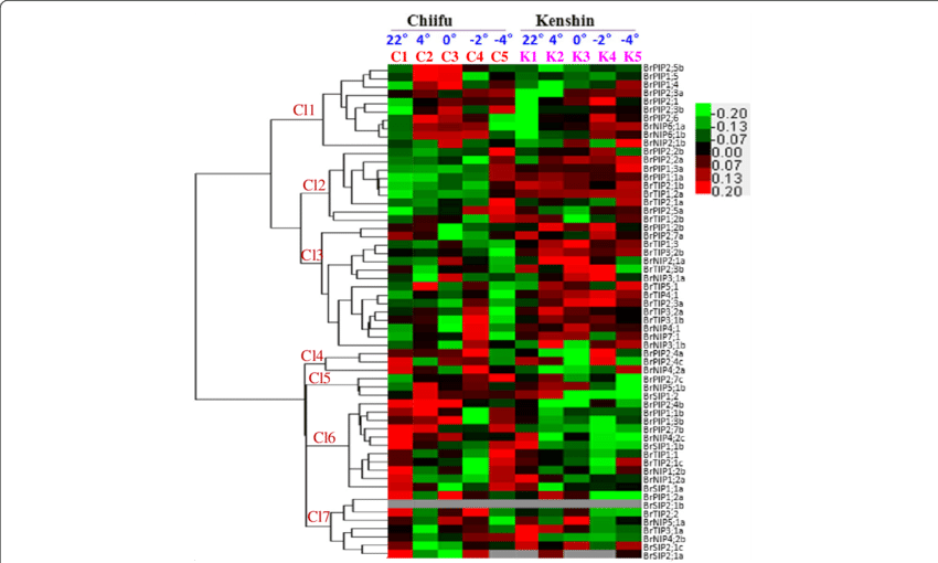C And K Indicate Chiifu And Kenshin, Respectively, - Common Fig (850x510), Png Download