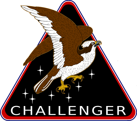 Challenger Artemis Patch - Nasa (449x396), Png Download