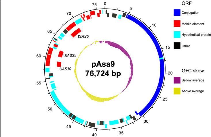 The Pasa9 Sequence And Features Were Visualized With - Map (850x476), Png Download