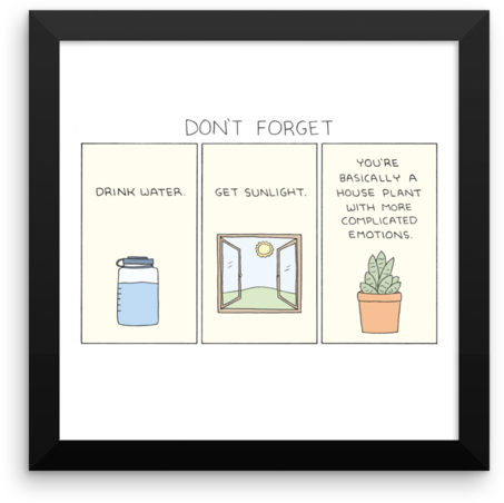 "don't Forget" Print - Don T Forget To Drink Water And Get Sunlight (600x600), Png Download