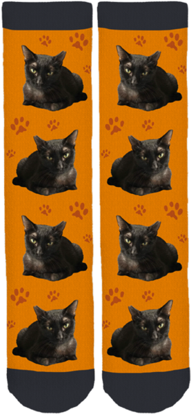 Nosferatu Crew Socks - Black Cat (284x599), Png Download