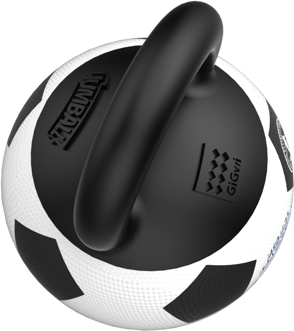 Jumball Pelota - Gigwi Jumball Soccer Ball Purple (677x737), Png Download